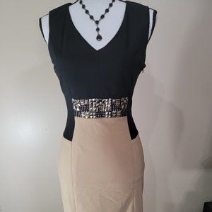 Sexy and Classy Dress